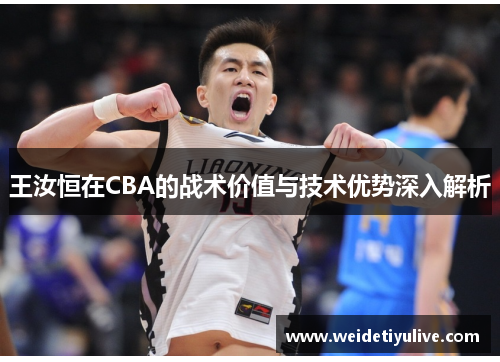 王汝恒在CBA的战术价值与技术优势深入解析