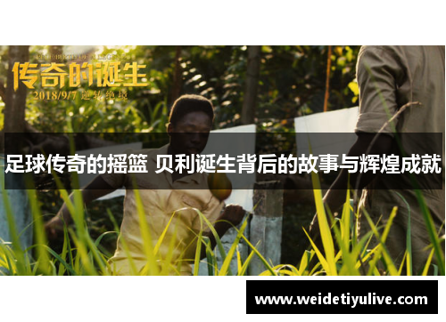 足球传奇的摇篮 贝利诞生背后的故事与辉煌成就