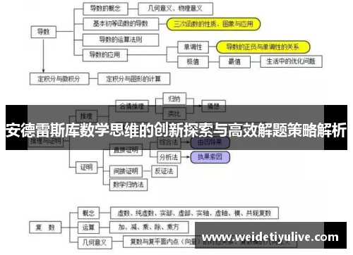 安德雷斯库数学思维的创新探索与高效解题策略解析