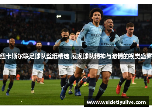 纽卡斯尔联足球队壁纸精选 展现球队精神与激情的视觉盛宴