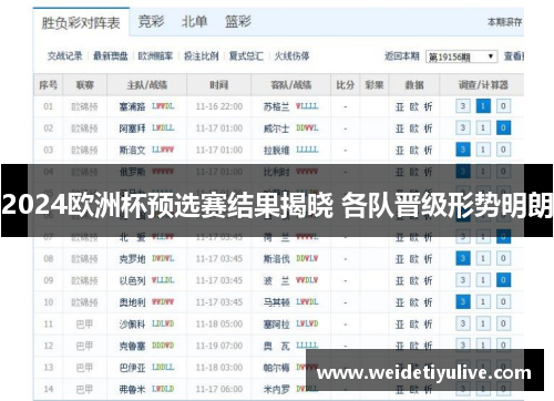2024欧洲杯预选赛结果揭晓 各队晋级形势明朗