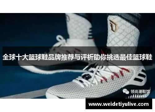 全球十大篮球鞋品牌推荐与评析助你挑选最佳篮球鞋