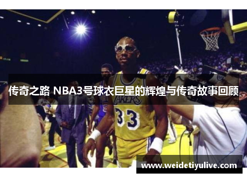 传奇之路 NBA3号球衣巨星的辉煌与传奇故事回顾