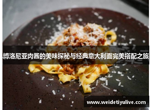 博洛尼亚肉酱的美味探秘与经典意大利面完美搭配之旅