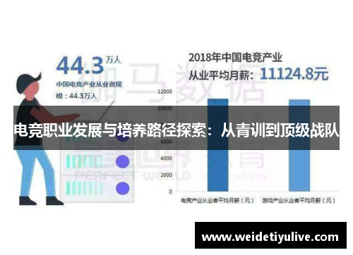 电竞职业发展与培养路径探索：从青训到顶级战队