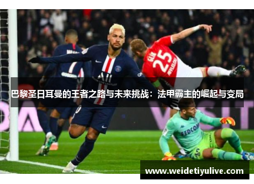 巴黎圣日耳曼的王者之路与未来挑战：法甲霸主的崛起与变局
