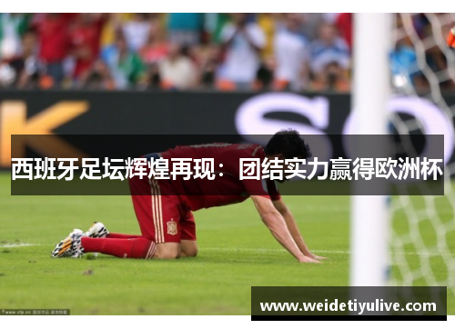 西班牙足坛辉煌再现：团结实力赢得欧洲杯