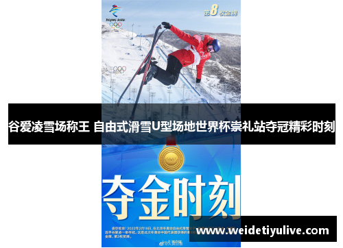 谷爱凌雪场称王 自由式滑雪U型场地世界杯崇礼站夺冠精彩时刻