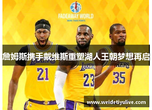 詹姆斯携手戴维斯重塑湖人王朝梦想再启