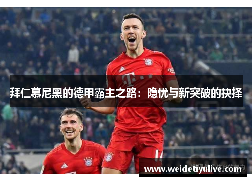 拜仁慕尼黑的德甲霸主之路：隐忧与新突破的抉择