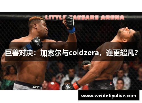 巨兽对决：加索尔与coldzera，谁更超凡？