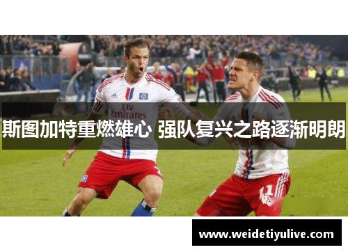 斯图加特重燃雄心 强队复兴之路逐渐明朗