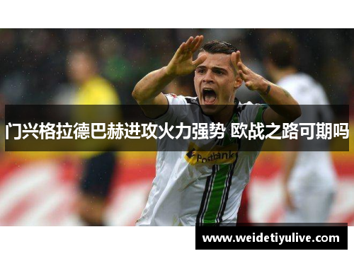 门兴格拉德巴赫进攻火力强势 欧战之路可期吗